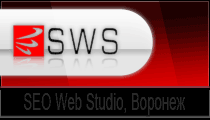 Веб-трансляция, SEO Web Studio, Воронеж